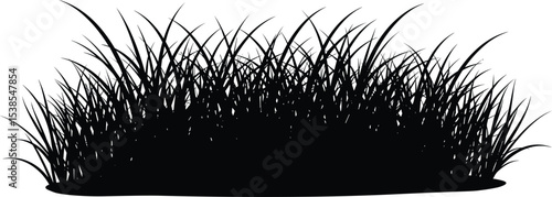 Dense black grass silhouette, nature bush vector, wild field element, outdoor weed clipart, plant shape, isolated decorative flora art