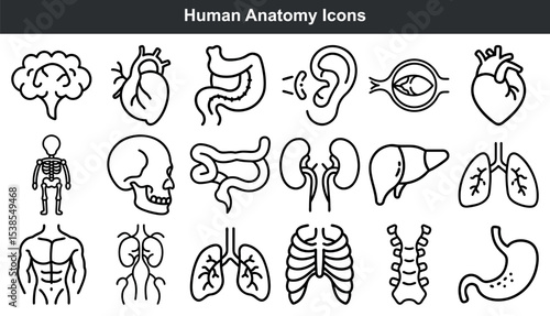 Black Human Anatomy Organs Icons Set