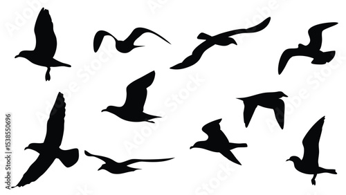Several black seagull silhouettes are flying on the plain white background perfectly for any art