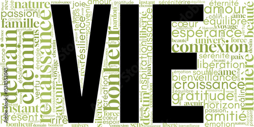 Nuage de mots en français autour de "vie". Mots positifs liés à l’existence, l’amour, la liberté, les émotions et le chemin de vie. Idéal pour affiches, coaching ou déco intérieure