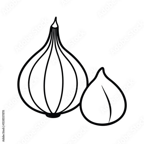 vector illustration of an onion