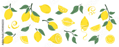 Set of drawn lemons. Whole, half, sliced ​​lemon slices. Vector illustration.