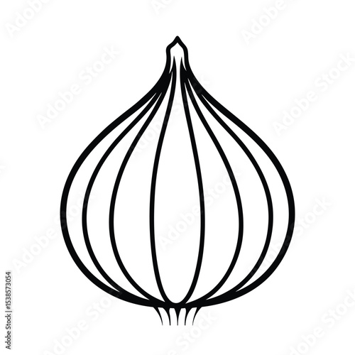 red onion vector illustration