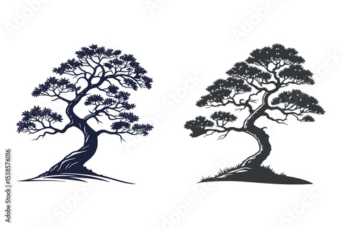 Elegant Bonsai Tree Silhouettes Black and White Illustrations