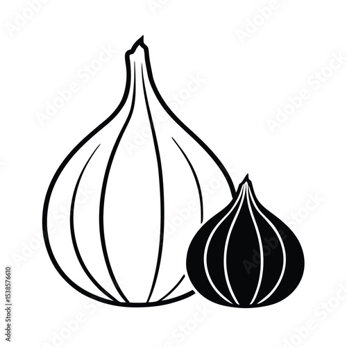 vector illustration of an onion