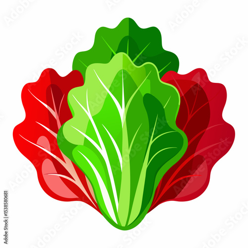 Fresh and Vibrant Lettuce Heads Illustration Featuring Green and Red Leafy Vegetables Perfect for Healthy Eating Salad Ingredients and Vegetarian or Vegan Cuisine Concepts on