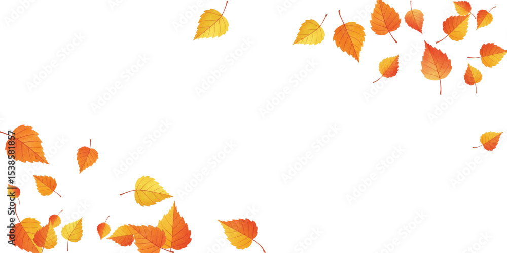 Obraz premium Adobe Illustrator Artwork