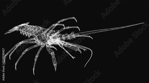 A 3D wireframe lobster composed of white lines on a black background, featuring detailed claws, segmented tail, and long antennae. The stylized mesh design gives it a futuristic and technical.