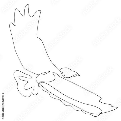 thin outline of a flying bird of prey, continuous line drawing, black
