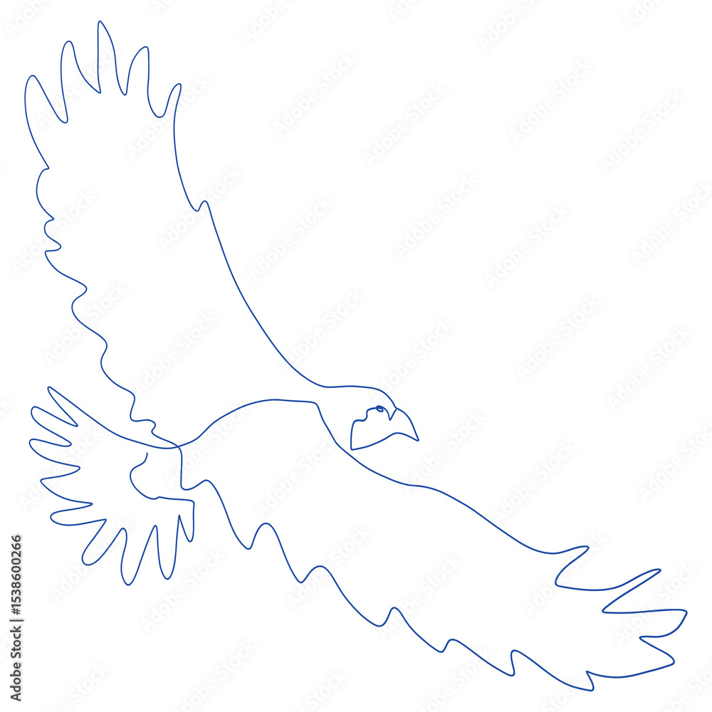 Obraz premium thin outline of a flying eagle, continuous line drawing