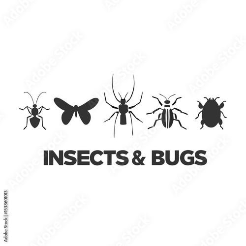 Vector icons of common garden insects: ladybug, firefly or lightning bug, centipede, praying mantis, cricket, honey bee, tiger swallowtail butterfly, common garden spider, roly poly or pill bug.