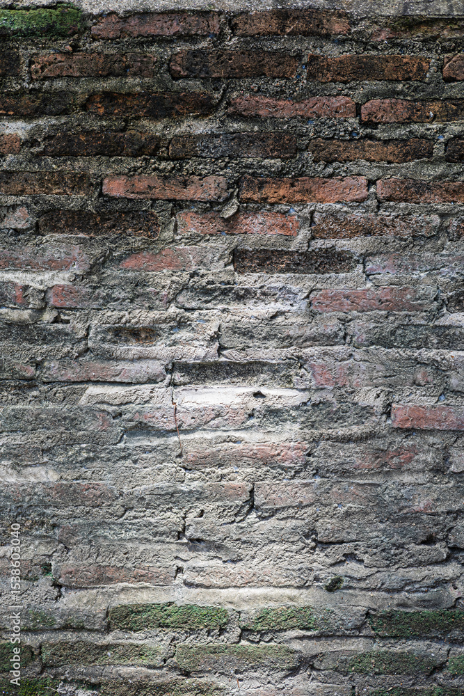 Fototapeta premium Grungy Old Brick Wall with Moss