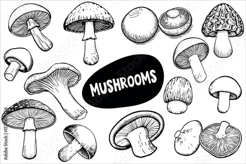 A variety of mushrooms illustrated in black and white. Different shapes and sizes are displayed, including caps and stems. The word 'MUSHROOMS' is prominently featured.