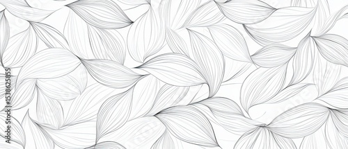 Elegant Abstract Floral Wall Mural With Line Drawing on White