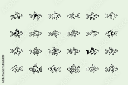 Celestial Pearl Danio, ‍aquarium fish, line art illustration