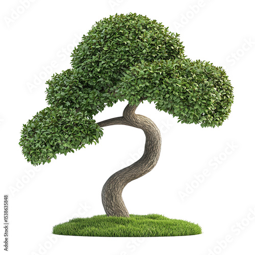Cartoon Zen Garden Tree – Isolated on Transparent Background