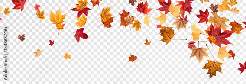 Wallpaper Mural Falling leaves, autumn foliage on transparent background, beautiful background of orange and gold leaves. Vector maple leaf, png, flying foliage from tree.	
 Torontodigital.ca