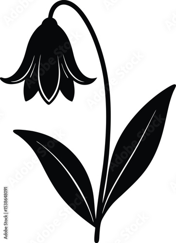 bluebell flower silhouette on white background