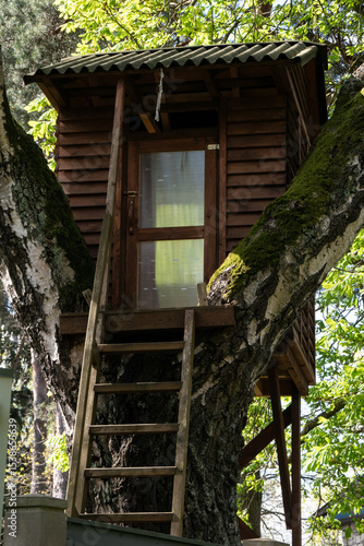 homemade wooden house made of birch branches with a wavy roof for the joy of children