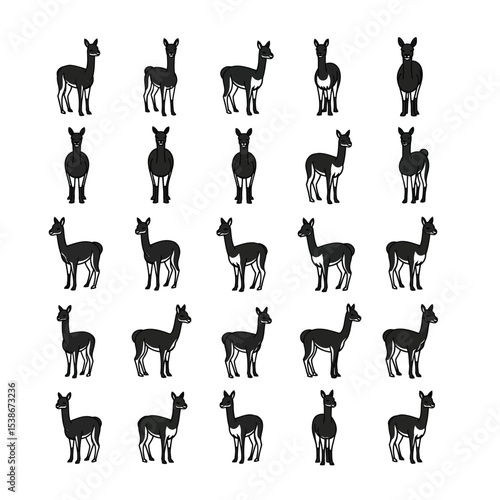 Vicu a collection black and white illustrations