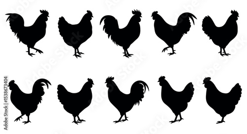 Set of rooster and hen silhouettes for farm design projects and animal themes vector illustration