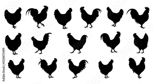 Silhouette collection of chickens and roosters for design projects vector illustration