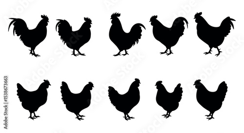 Silhouette collection of roosters and hens for farm design and decorations vector illustration