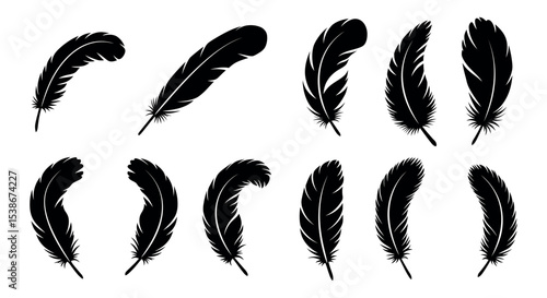 Collection of black feather silhouettes for design elements and decoration vector illustration