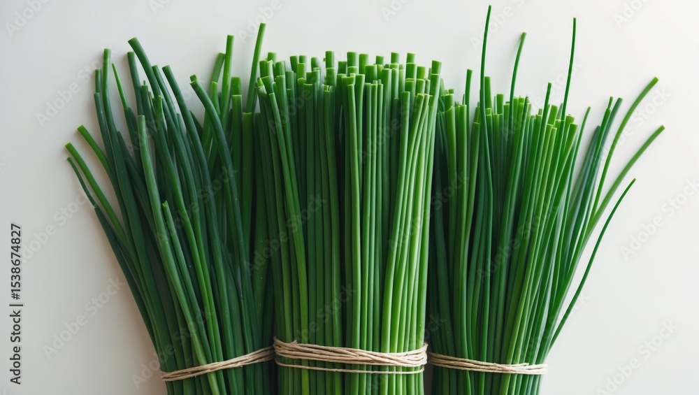 Fototapeta premium Garlic chives displayed against a background backdrop