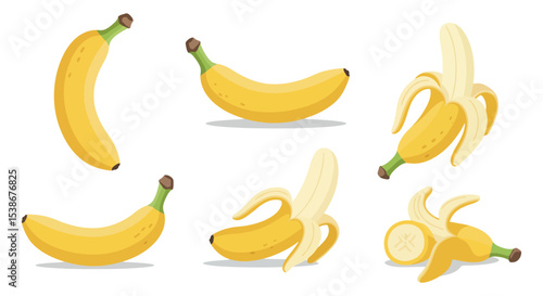 Collection of fresh ripe bananas in various arrangements for design and decoration vector illustration