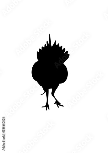 pintade dessin