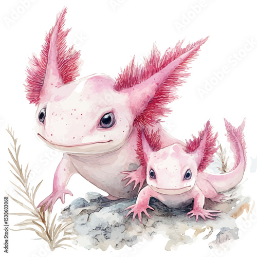 watercolor of A Mother Axolotl With Her Kid, vector, isolated on a white background.