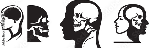 Human Head and Skull Anatomy Silhouettes with Brain and X-ray Views.