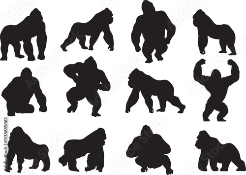 Gorilla silhouette images isolated on transparent background
