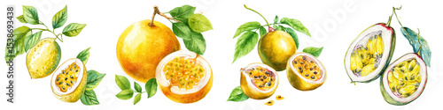 Passion fruit and yellow fruit with green leaves in watercolor style, fresh and natural