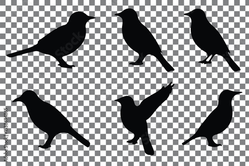 Flat and Minimal crow icon vector illustration isolated on white background an bart icon