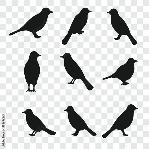 Flat and Minimal crow icon vector illustration isolated on white background an bart icon