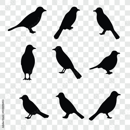 Flat and Minimal crow icon vector illustration isolated on white background an bart icon