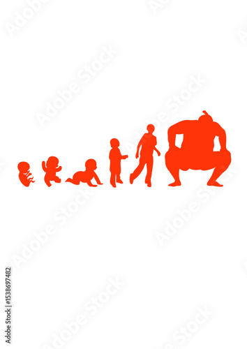 evolution sumotori adulte bebe combat