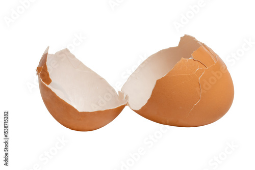 The cracked egg shell photographed with a high-resolution camera using a  stacking focus technique.