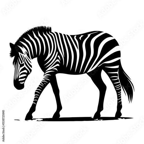 Zebra In Stunning Wildlife Portrait