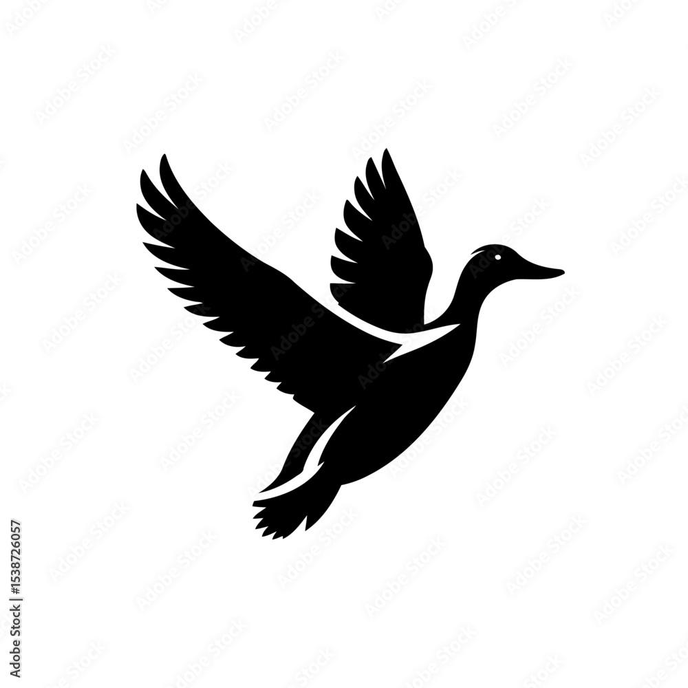 Obraz premium Duck In Flight Stunning Silhouette Of Bird Taking Flight