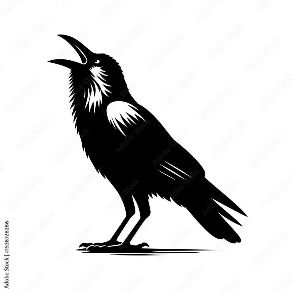 Obraz premium Raven Silhouette Vector Of Raven