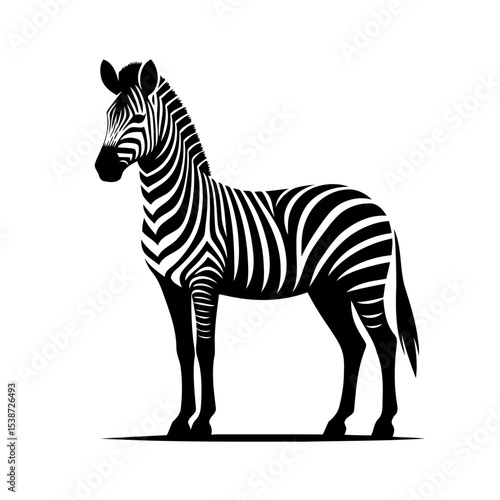 Striped Zebra In African Animal