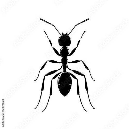 Ant Silhouette Vector Of Ant