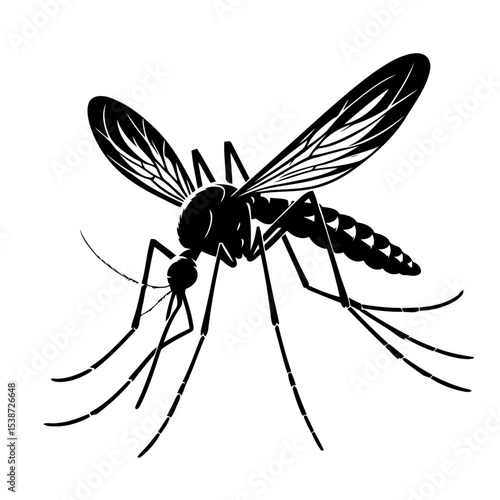 Closeup Of Mosquito Detailed Vector Graphic