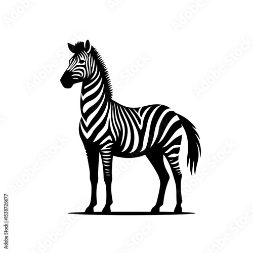 Striped Zebra African Wildlife In