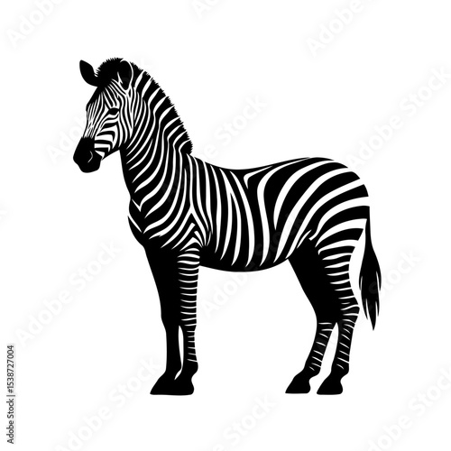 Striped Zebra In Stunning Wildlife Silhouette