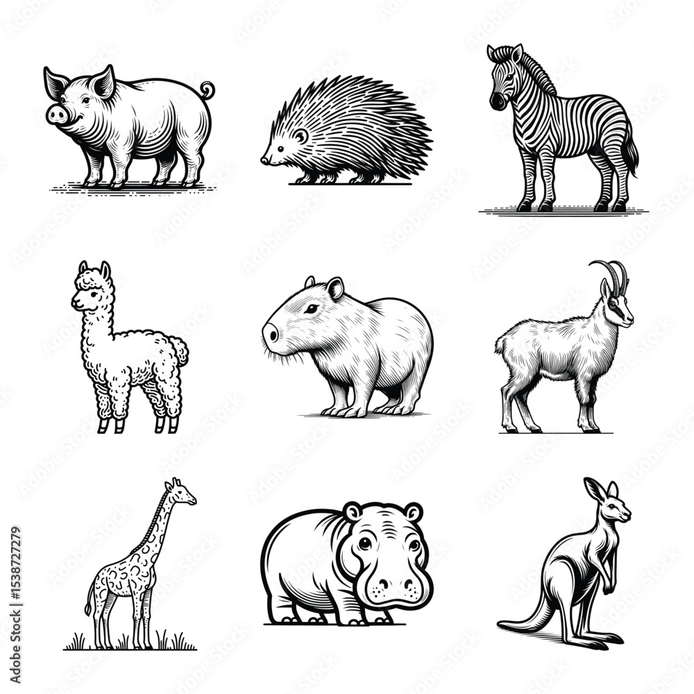 Naklejka premium Different types of animal line art bundle vector illustration isolated on a white background