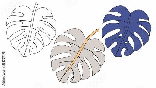 Three stylized Monstera leaves in different colors